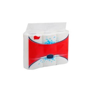 Paper Towel Roll, 2 ply, 222x228mm, 200 count