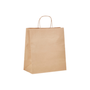 Twisted Handle Paper Bag